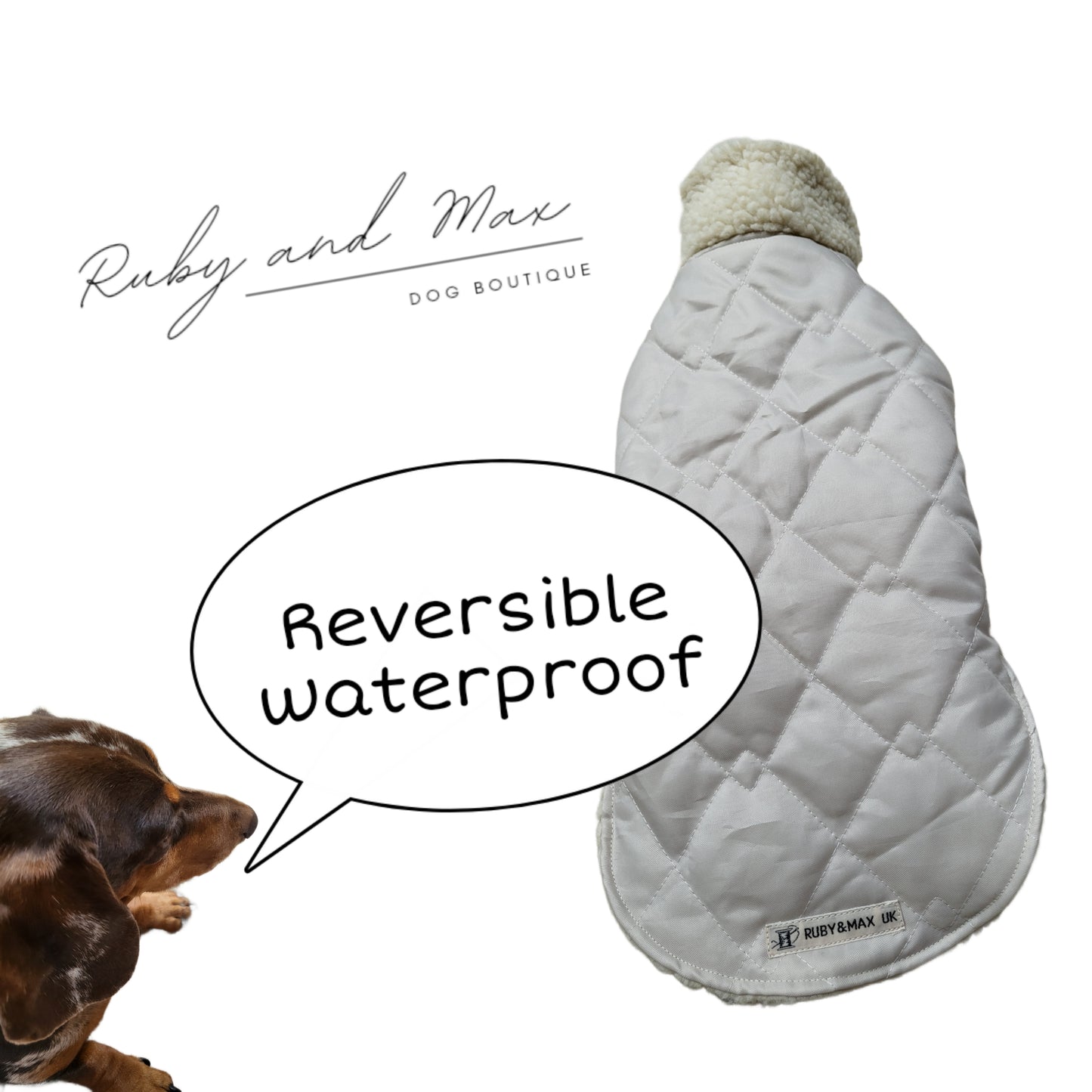 Dachshund Miniature Waterproof Reversible Coat
